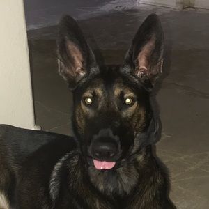 Meet your Posher, Eddy